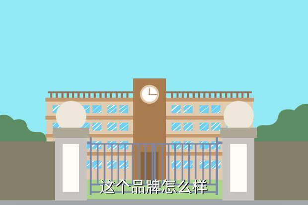 这个品牌怎么样