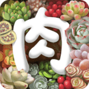 多肉植物 多肉植物