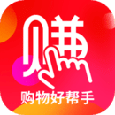 飞鸟加速器