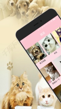 人猫狗交流器截图1